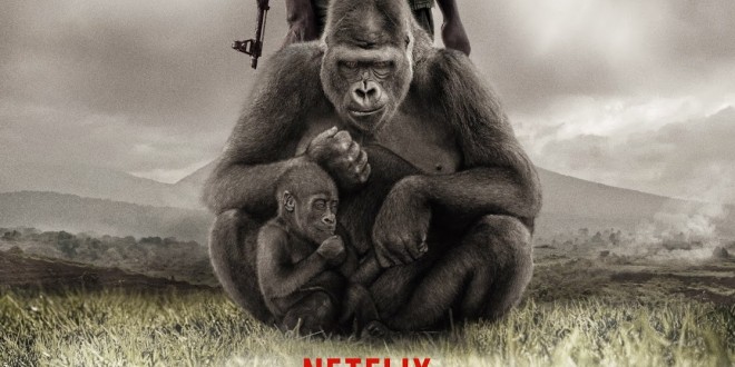 [Critique] <i>Virunga</i> (2014), ô Congo ! / oh Congo! 1 image
