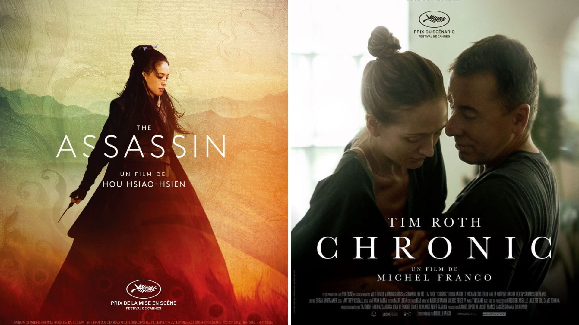 The Assassin et Chronic affiches films cinéma