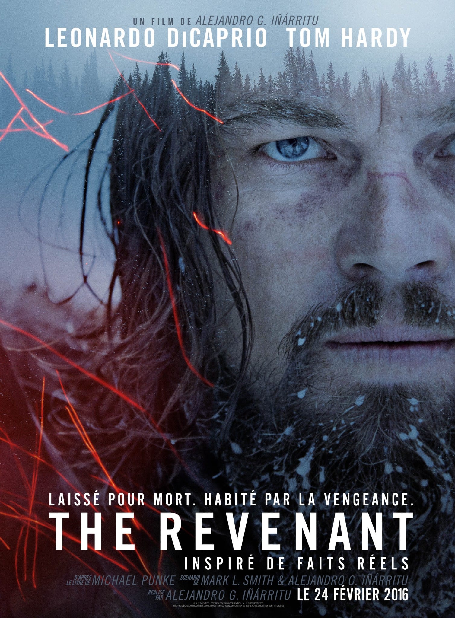 Critique / "The Revenant" (2015) : une expérience grandeur nature 18 The Revenant affiche