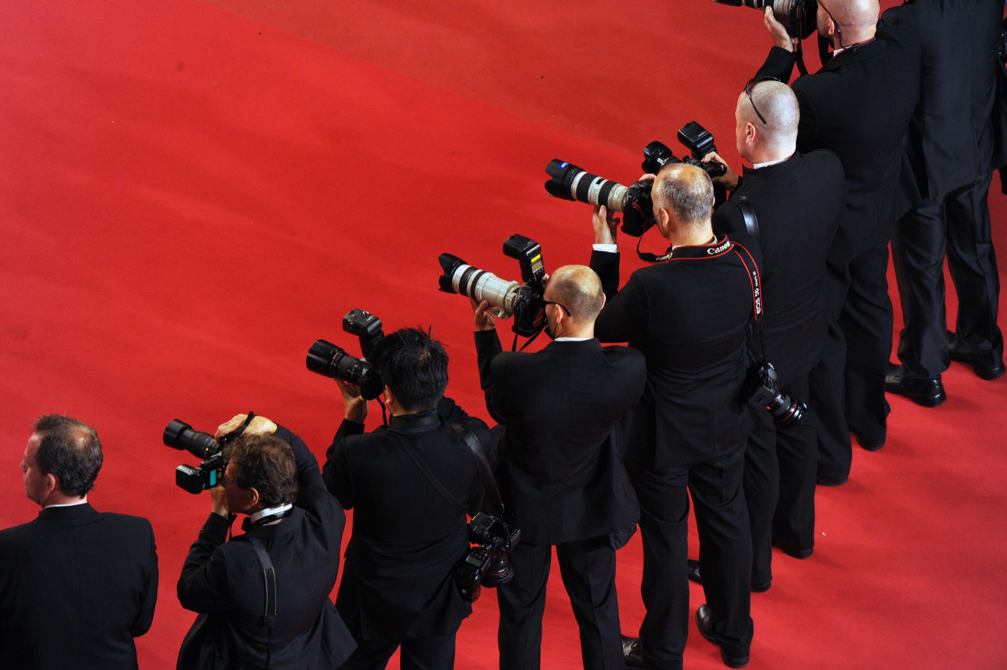 Festival de Cannes 2023 la sélection officielle, entre nouveaux venus