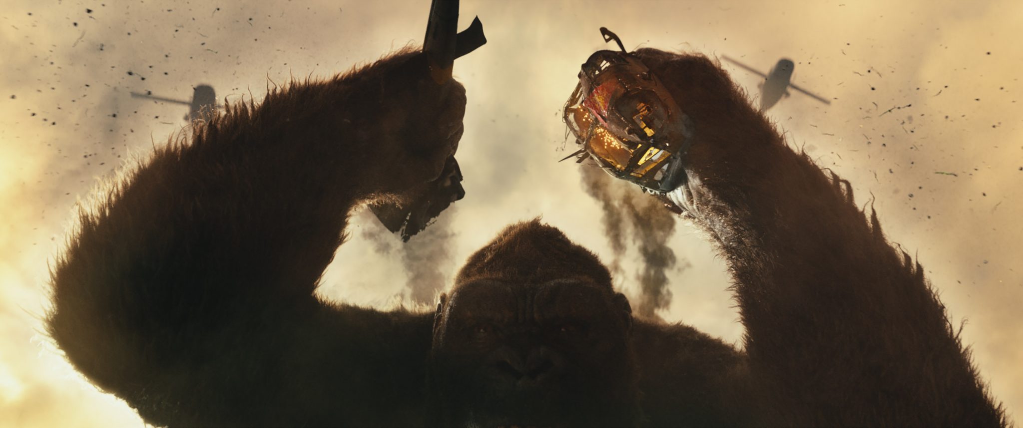Kong, Skull Island (TF1) : pourquoi King Kong est-il devenu si