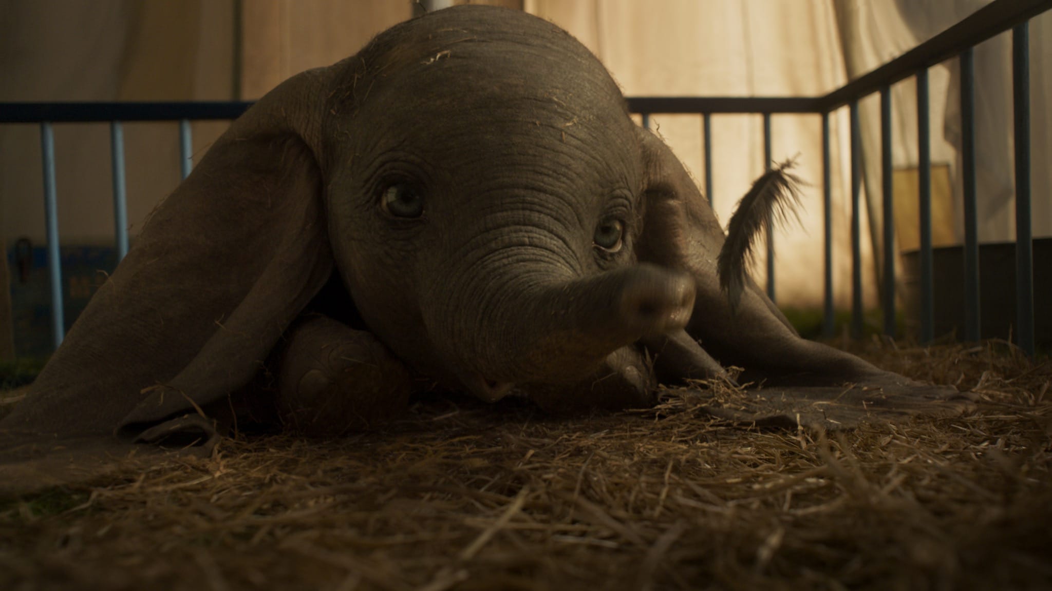Dumbo de Tim Burton image film