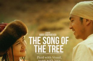 The Song of The Tree affiche film