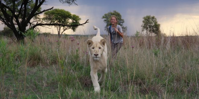 Mia et le Lion Blanc image film cinéma