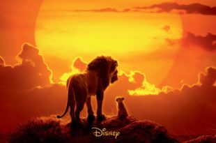 Le Roi Lion de Jon Favreau affiche film cinéma