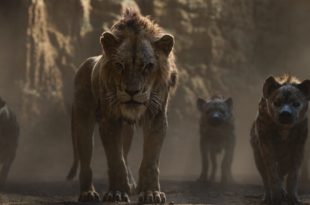 Le Roi Lion de Jon Favreau image film cinéma
