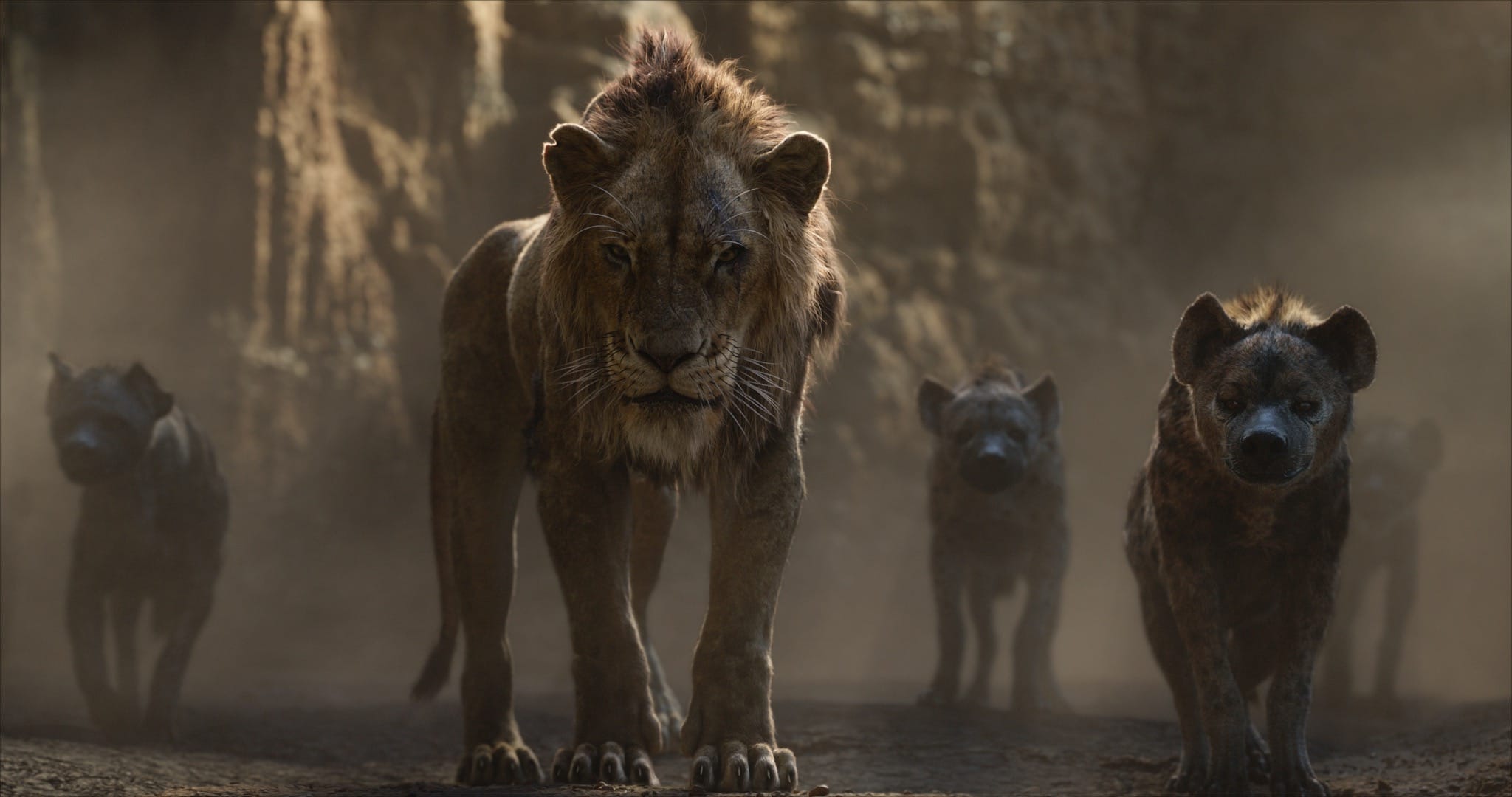 Le Roi Lion de Jon Favreau image film cinéma