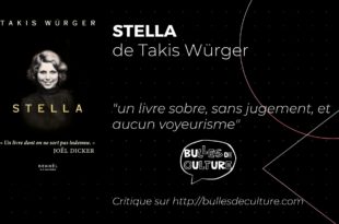 Stella Takis Würger avis livre critique
