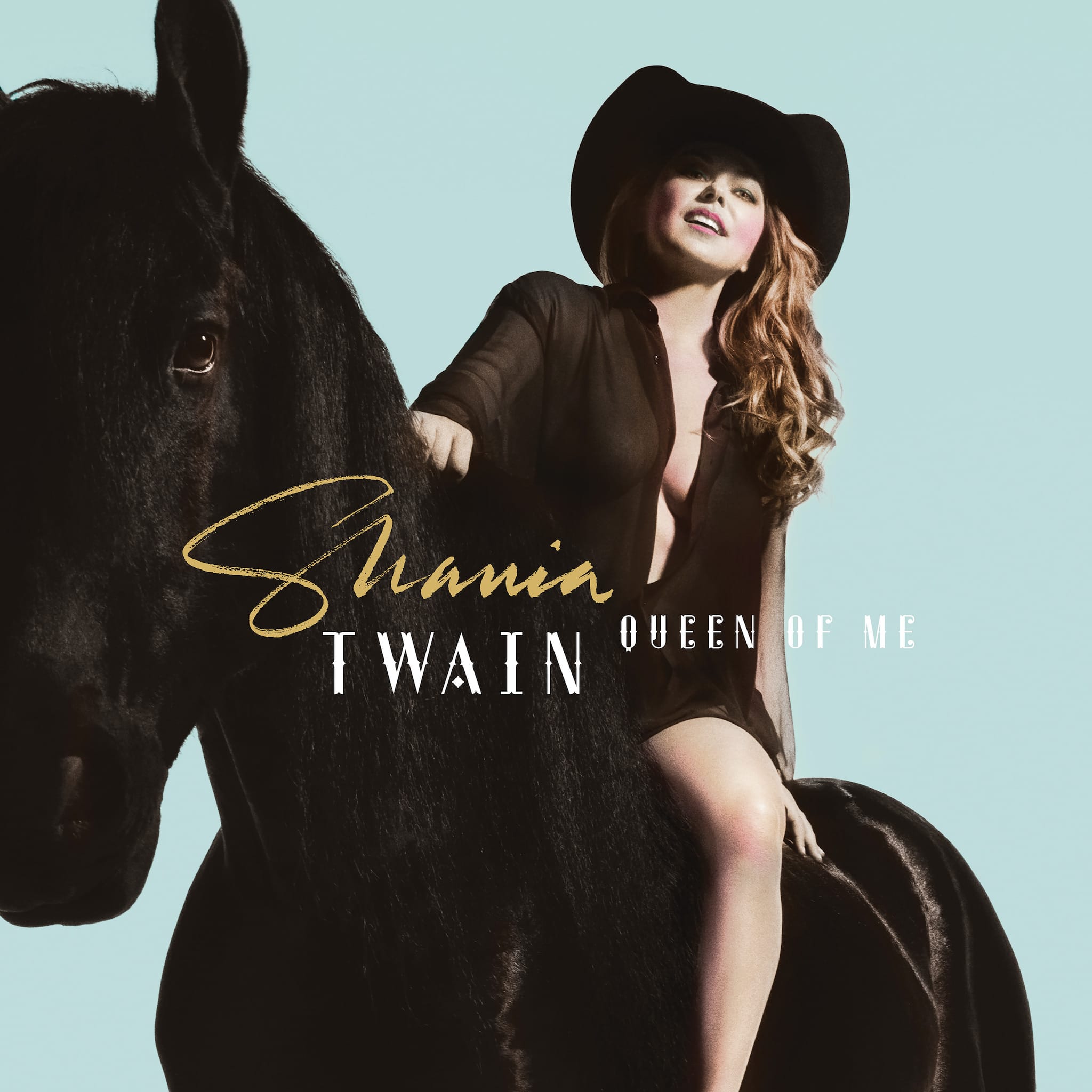 Shania Twain : nouvel album et tournée en 2023 1 image