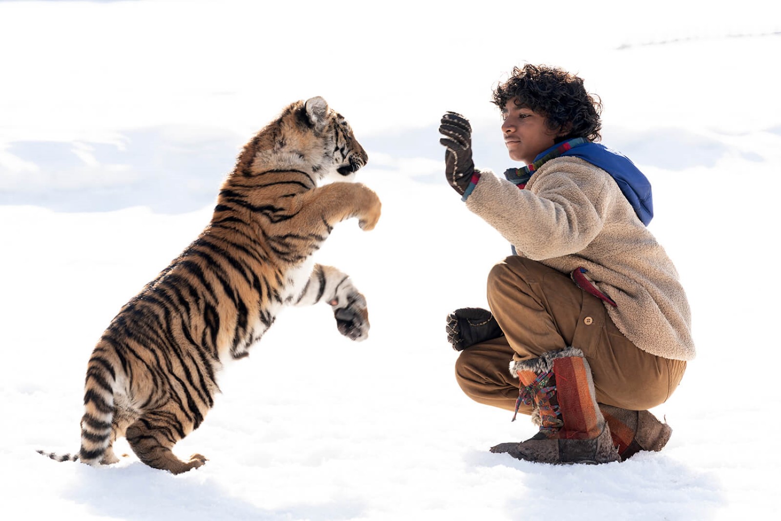 Le Nid du tigre photo film 2023 3