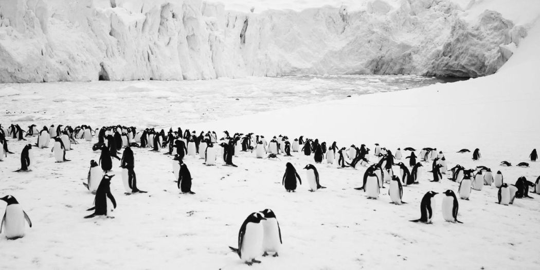 Voyage au Pôle Sud photo critique avis (1)