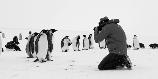 Voyage au Pôle Sud photo critique avis