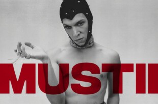 Mustii album The Maze pochette musique pop