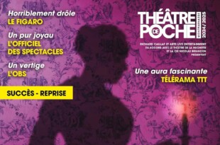 le journal d'une femme de chambre par nicolas briançon affiche copie