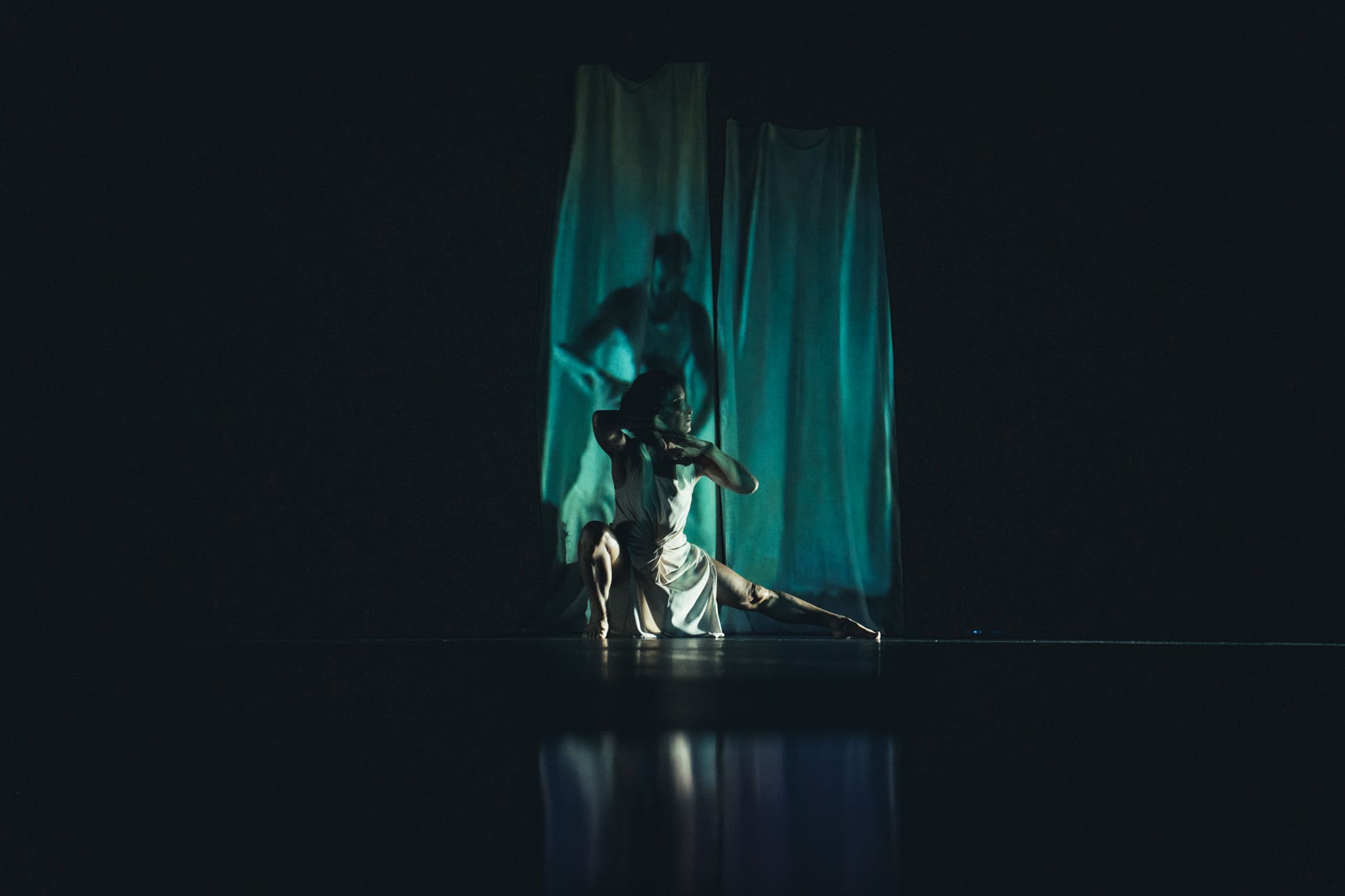 entre les lignes de florence boyer image danse contemporaine