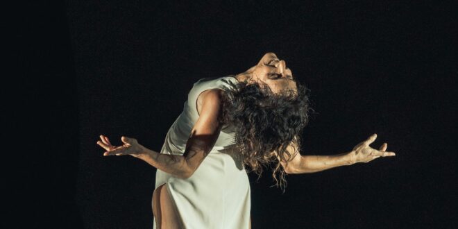 entre les lignes de florence boyer image danse contemporaine