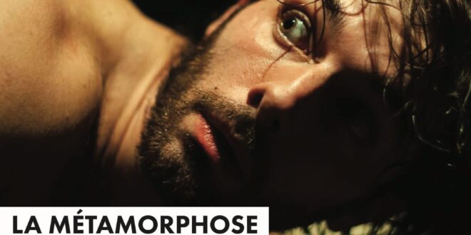 la métamorphose cie la divine usine affiche festival off avignon 2025 théâtre danse contemporain