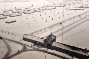 exposition auschwitz-birkenau vu par raymond depardon photo camp de concentration et d'extermintation seconde guerre mondiale