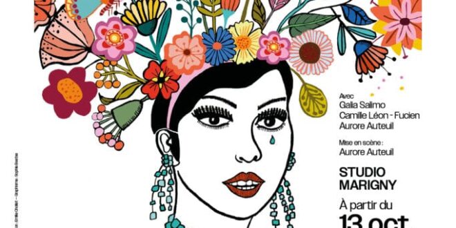les monologues du vagin au théâtre marigny affiche pièce de théâtre contemporain