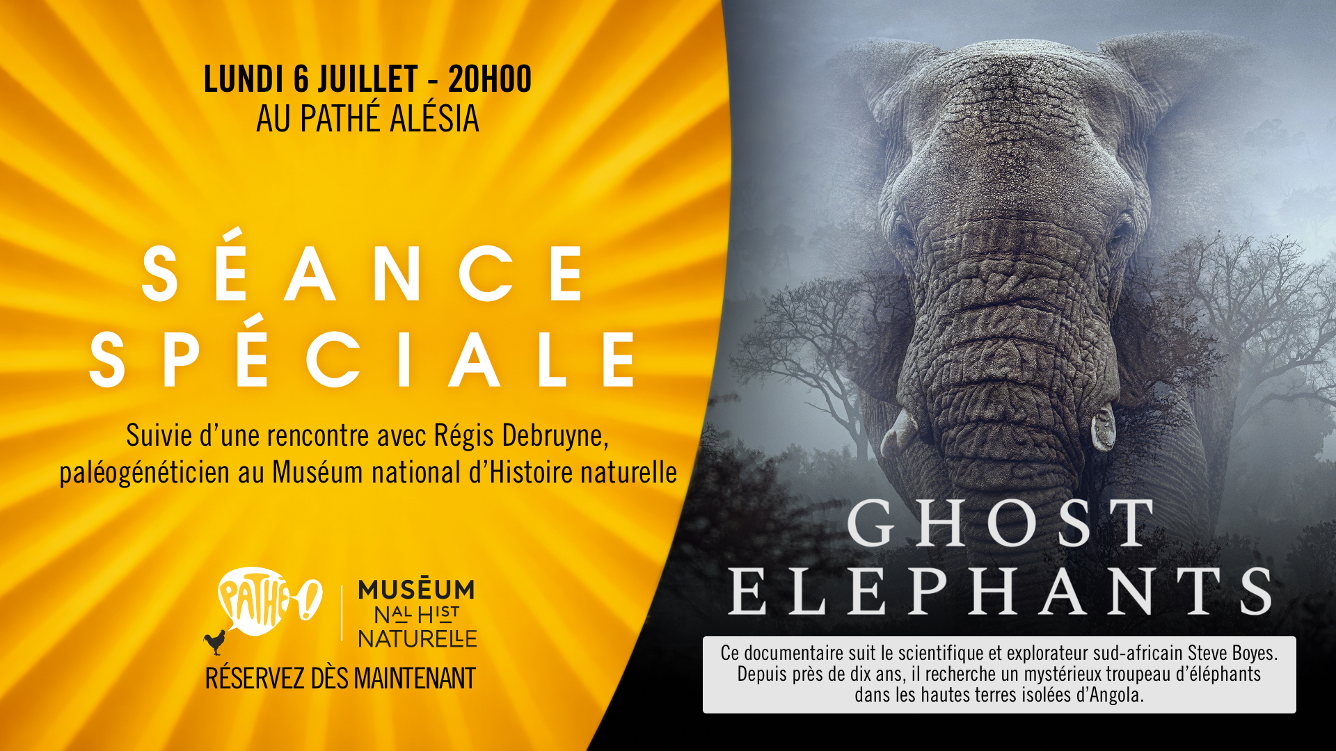 ghost elephants Écran horizontal