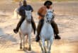 Golo et Ritchie galopant à cheval sur une piste de sable en Camargue au coucher du soleil dans Les Vacances de Golo & Ritchie