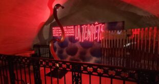 Exposition “La Tempête” à l’Arc de Triomphe : quand l’art contemporain habite un monument national